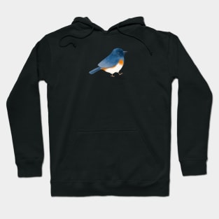 Red Flanked Bluetail Bird Hoodie